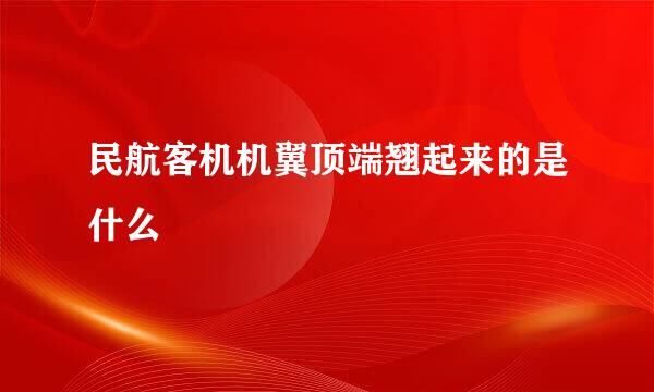 民航客机机翼顶端翘起来的是什么