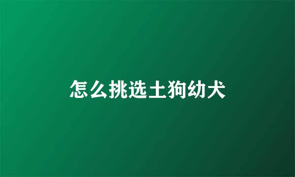 怎么挑选土狗幼犬