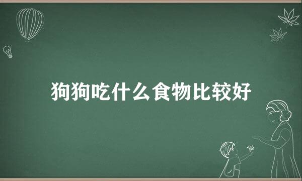狗狗吃什么食物比较好