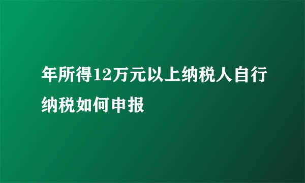 年所得12万元以上纳税人自行纳税如何申报