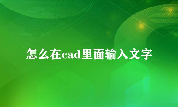 怎么在cad里面输入文字