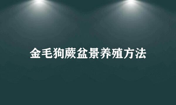 金毛狗蕨盆景养殖方法