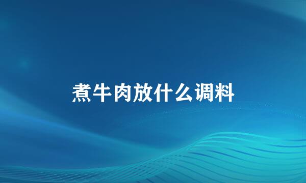 煮牛肉放什么调料