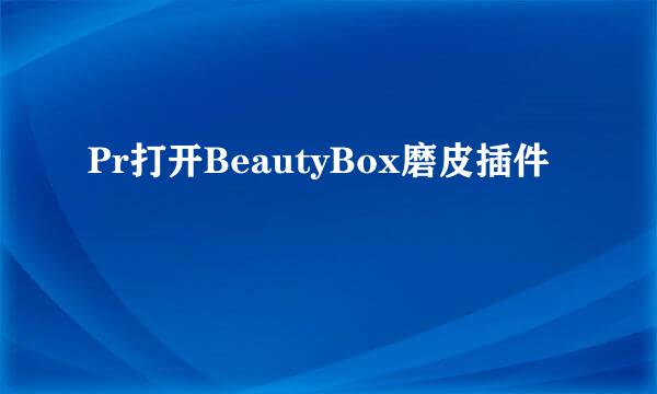 Pr打开BeautyBox磨皮插件
