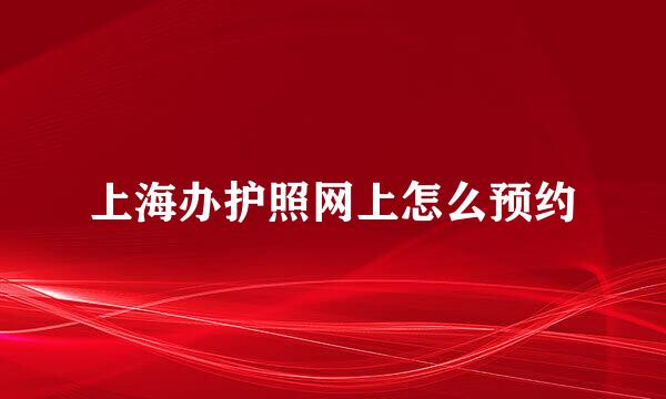 上海办护照网上怎么预约