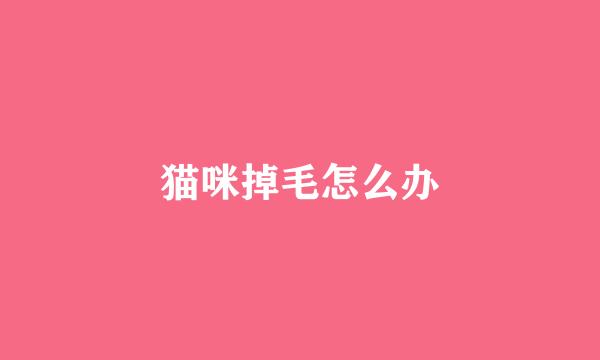 猫咪掉毛怎么办