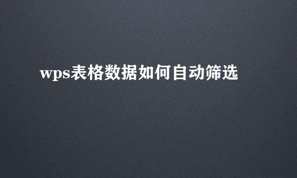 wps表格数据如何自动筛选