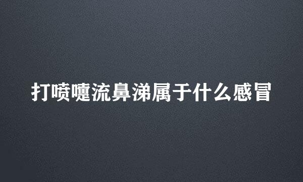 打喷嚏流鼻涕属于什么感冒