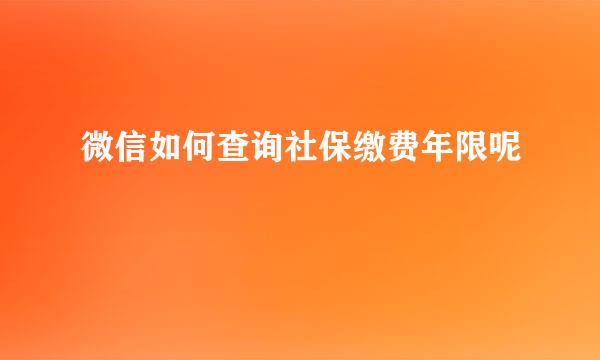 微信如何查询社保缴费年限呢