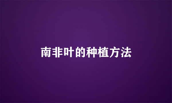 南非叶的种植方法