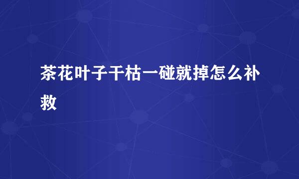 茶花叶子干枯一碰就掉怎么补救