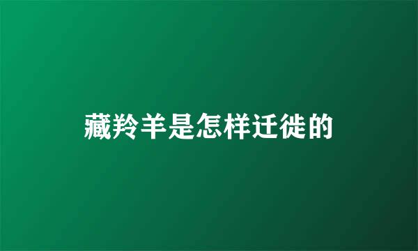 藏羚羊是怎样迁徙的