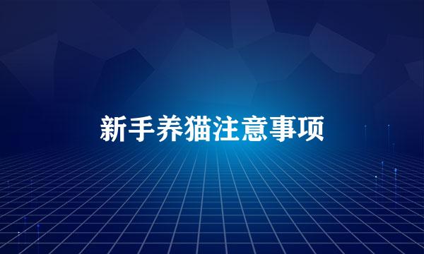 新手养猫注意事项