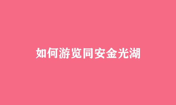 如何游览同安金光湖