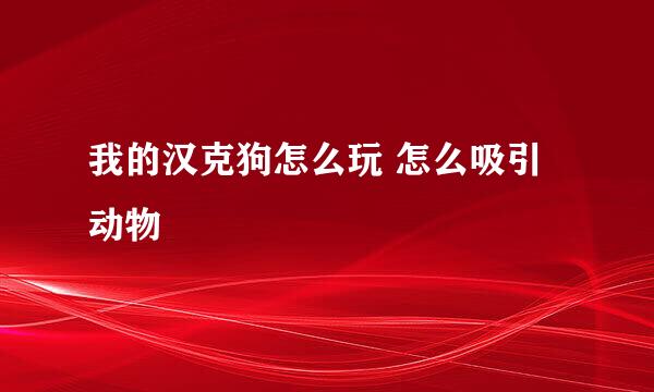 我的汉克狗怎么玩 怎么吸引动物