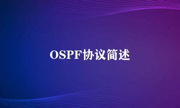 OSPF协议简述