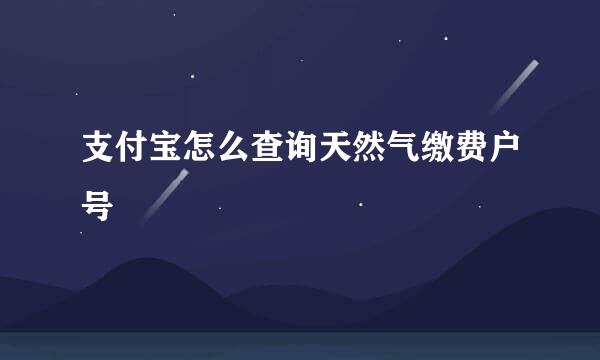 支付宝怎么查询天然气缴费户号