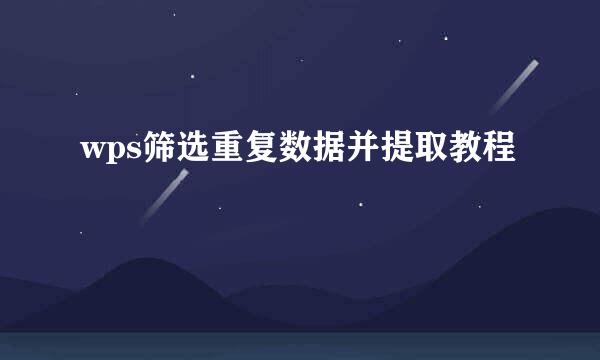 wps筛选重复数据并提取教程