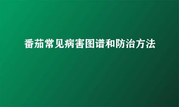 番茄常见病害图谱和防治方法