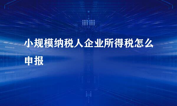 小规模纳税人企业所得税怎么申报