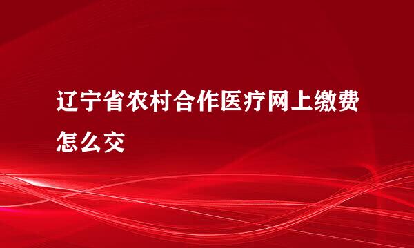 辽宁省农村合作医疗网上缴费怎么交