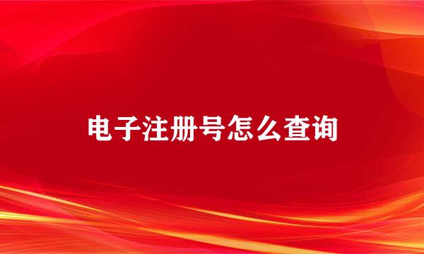 电子注册号怎么查询