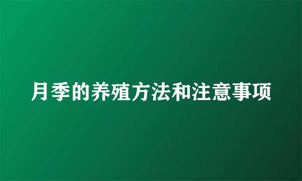 月季的养殖方法和注意事项
