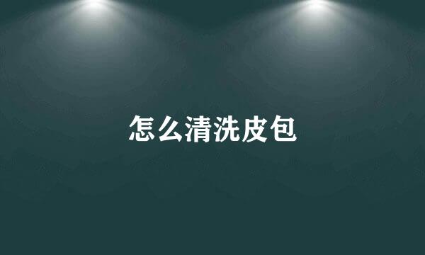 怎么清洗皮包