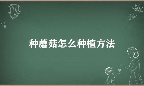 种蘑菇怎么种植方法