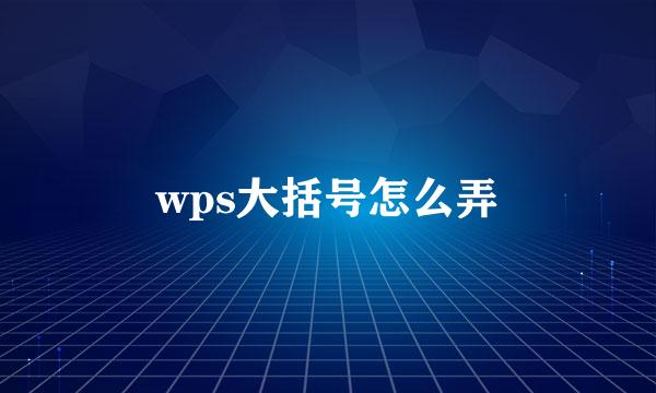 wps大括号怎么弄