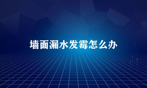 墙面漏水发霉怎么办
