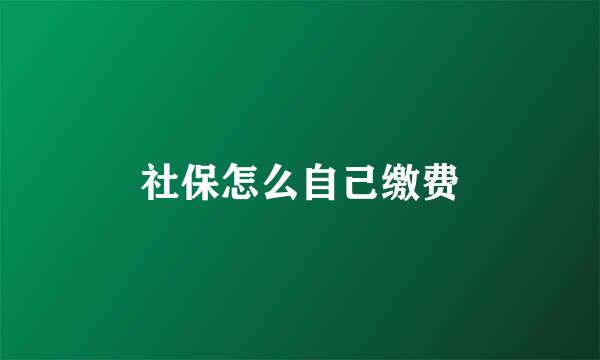 社保怎么自己缴费