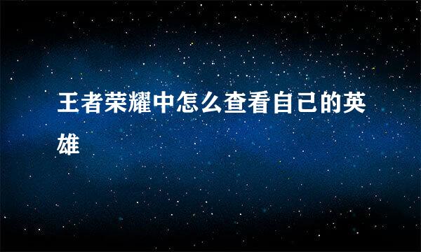 王者荣耀中怎么查看自己的英雄