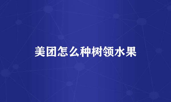 美团怎么种树领水果
