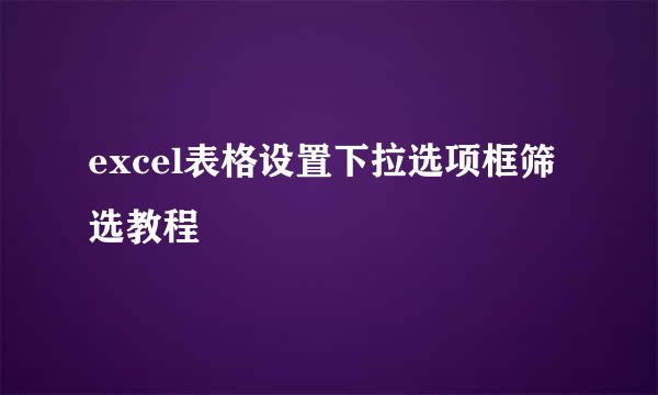 excel表格设置下拉选项框筛选教程