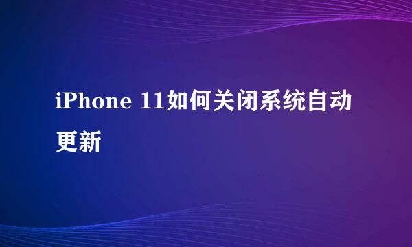 iPhone 11如何关闭系统自动更新