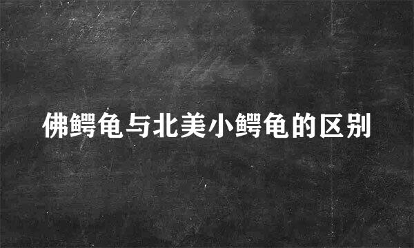 佛鳄龟与北美小鳄龟的区别