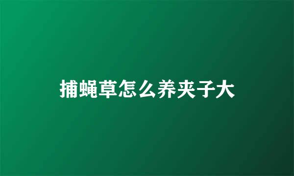 捕蝇草怎么养夹子大