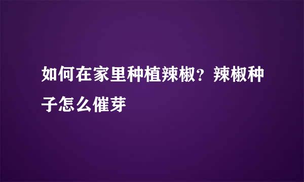 如何在家里种植辣椒？辣椒种子怎么催芽