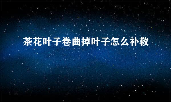 茶花叶子卷曲掉叶子怎么补救