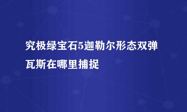 究极绿宝石5迦勒尔形态双弹瓦斯在哪里捕捉