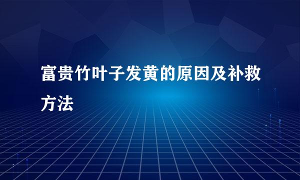 富贵竹叶子发黄的原因及补救方法