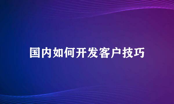 国内如何开发客户技巧