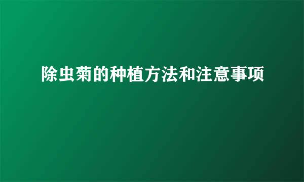 除虫菊的种植方法和注意事项