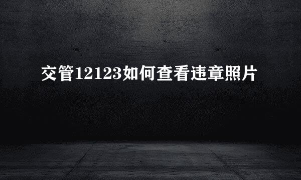 交管12123如何查看违章照片