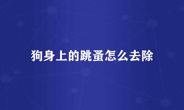 狗身上的跳蚤怎么去除