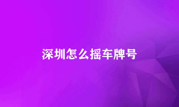 深圳怎么摇车牌号