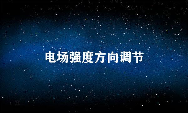 电场强度方向调节