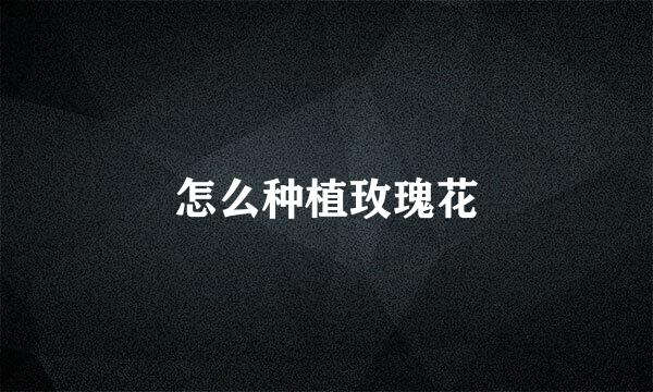 怎么种植玫瑰花