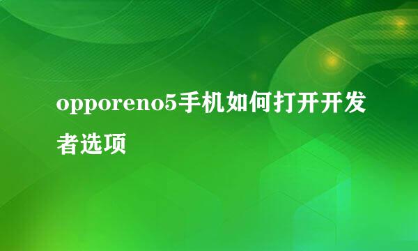 opporeno5手机如何打开开发者选项